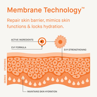 Daglig reparationsmousse – 100ml